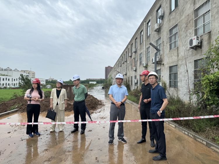 66e28c2f85e82.jpg 094.jpg